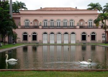 Pitacos que não querem calar