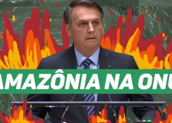 O BRASIL E A AMAZÔNIA NA ONU