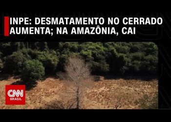 O BRASIL NÃO É MESMO PARA PRINCIPIANTES…